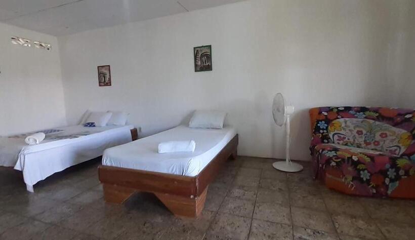 旅馆 Palmera Rooms Caribe