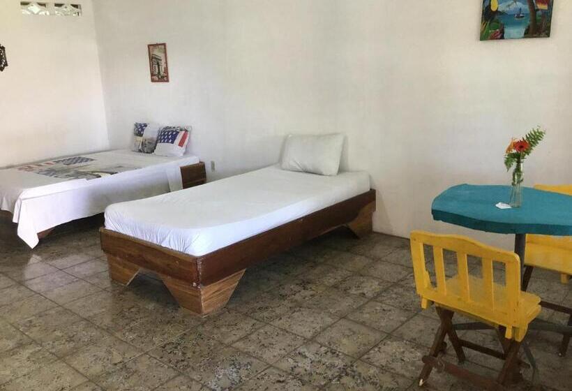 旅馆 Palmera Rooms Caribe