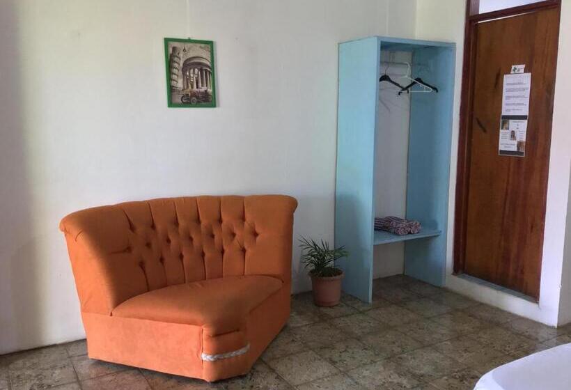 旅馆 Palmera Rooms Caribe