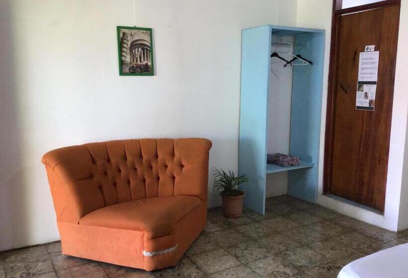 旅馆 Palmera Rooms Caribe