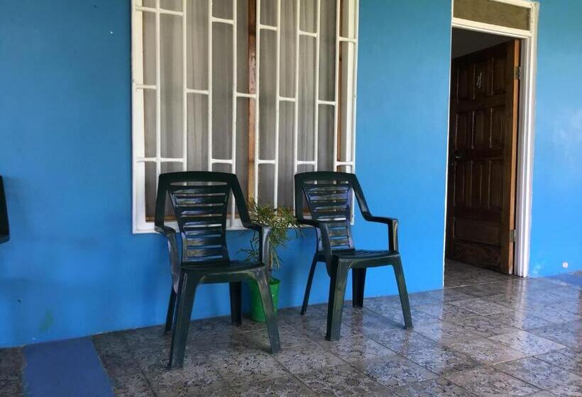 旅馆 Palmera Rooms Caribe