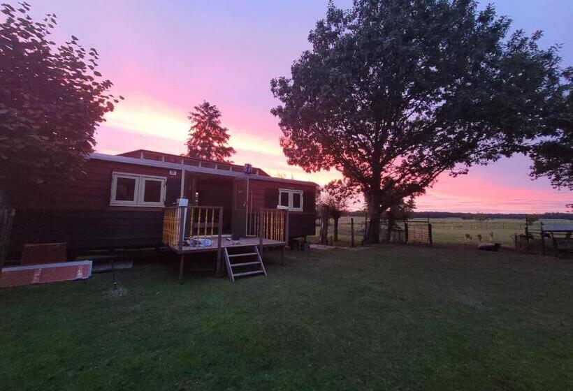 B&b T Maartensdijkse Bos