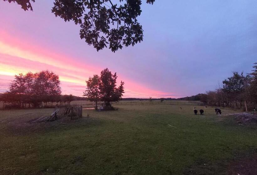 B&b T Maartensdijkse Bos