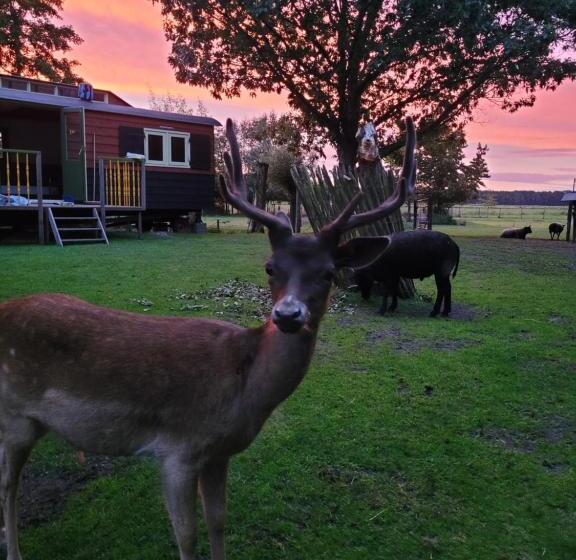 B&b  T Maartensdijkse Bos