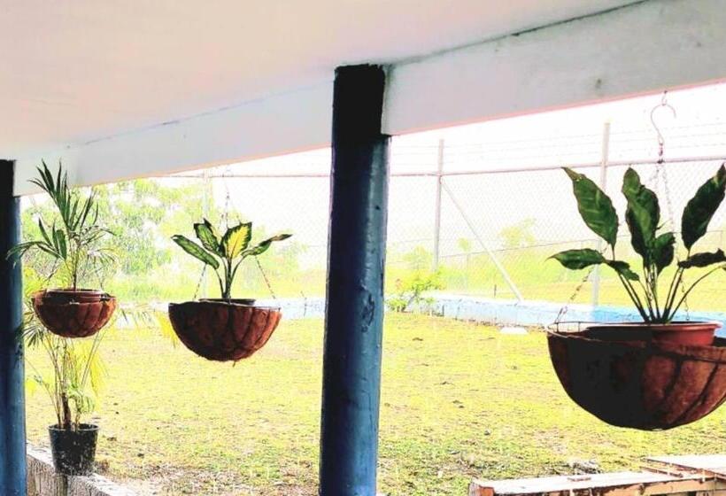 ベッドアンドブレックファースト Acacia Gardens