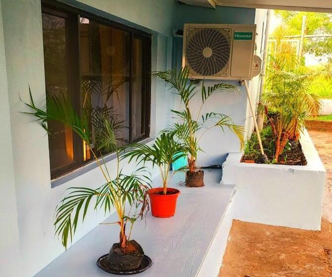 ベッドアンドブレックファースト Acacia Gardens