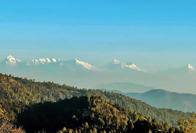 Bed and Breakfast Blackvilla