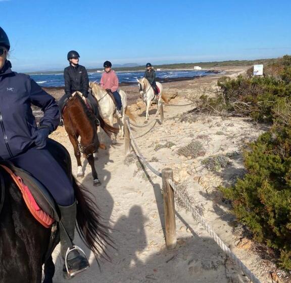 ベッドアンドブレックファースト Studio Doppelzimmer 2 Pers Mit Terrasse Und Pool Auf Finca Mallorca