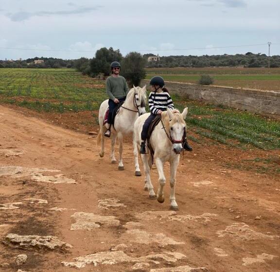 ベッドアンドブレックファースト Studio Doppelzimmer 2 Pers Mit Terrasse Und Pool Auf Finca Mallorca