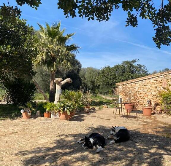 ベッドアンドブレックファースト Studio Doppelzimmer 2 Pers Mit Terrasse Und Pool Auf Finca Mallorca
