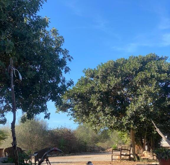 ベッドアンドブレックファースト Studio Doppelzimmer 2 Pers Mit Terrasse Und Pool Auf Finca Mallorca