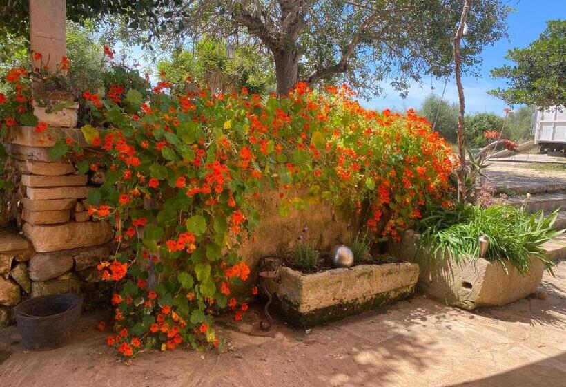 ベッドアンドブレックファースト Studio Doppelzimmer 2 Pers Mit Terrasse Und Pool Auf Finca Mallorca