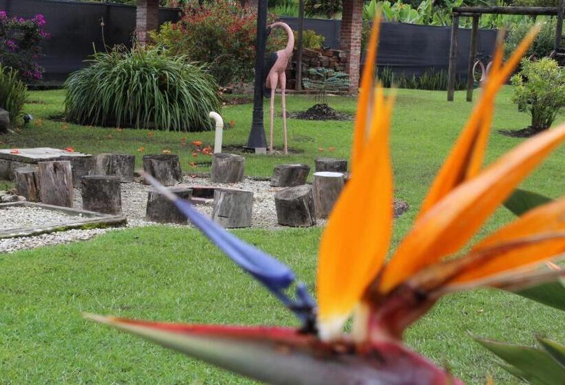 ベッドアンドブレックファースト Finca Hotel La Masia