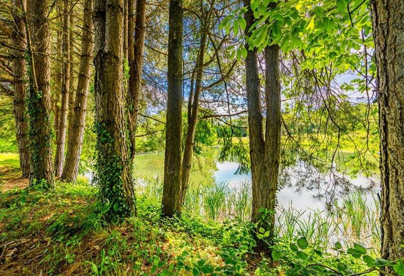 ベッドアンドブレックファースト Demeure Bergamote De Fontiers