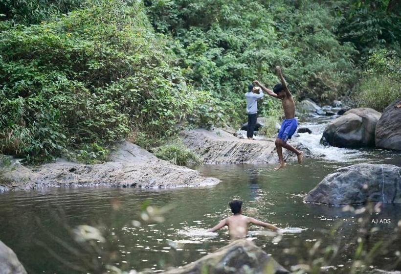Bed and Breakfast Snowflake Adventure
