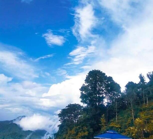 Bed and Breakfast Snowflake Adventure