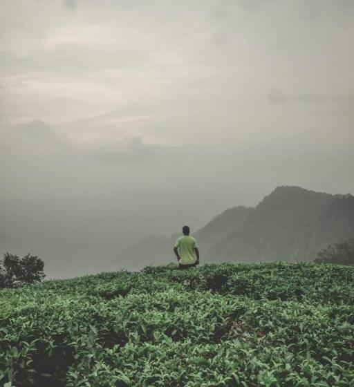 Bed and Breakfast Snowflake Adventure