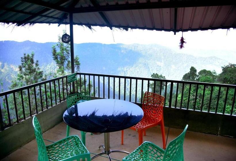 Bed and Breakfast Snowflake Adventure