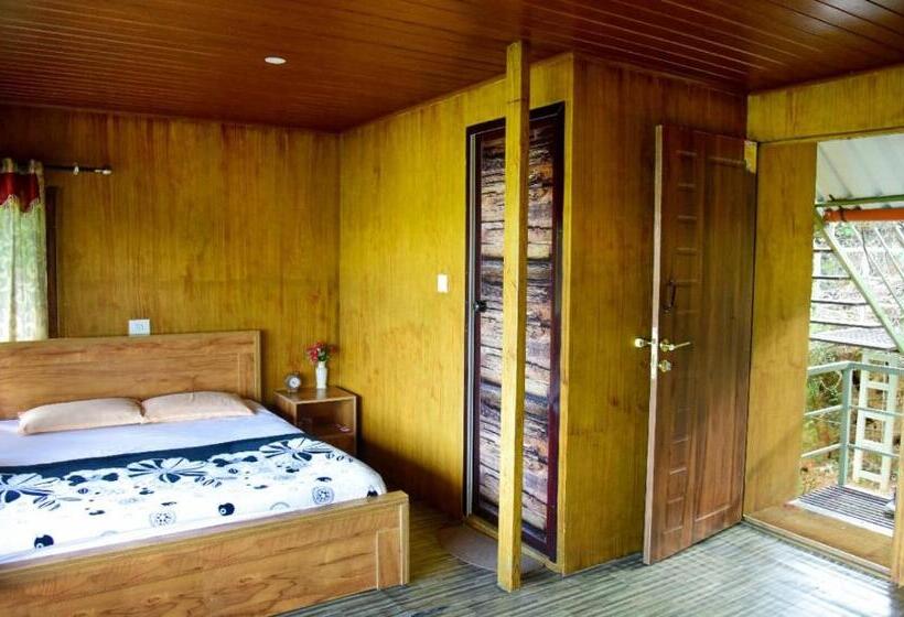 Bed and Breakfast Snowflake Adventure