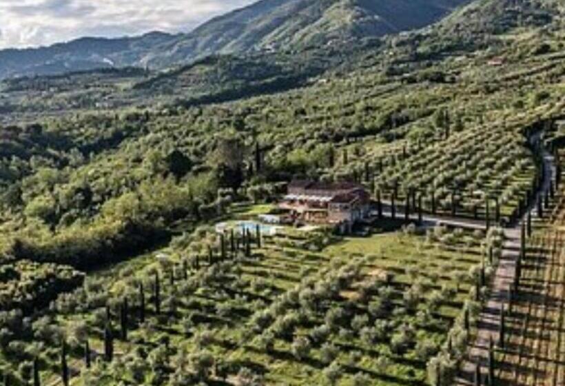 Bed and Breakfast Wine House