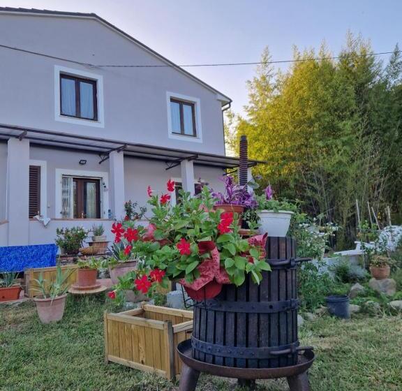 Bed and Breakfast Wine House