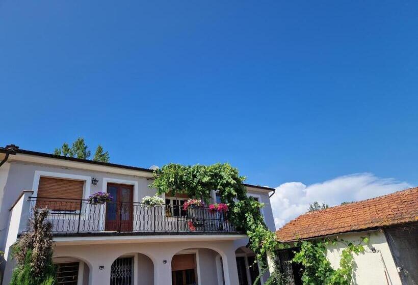 تختخواب و صبحانه Wine House