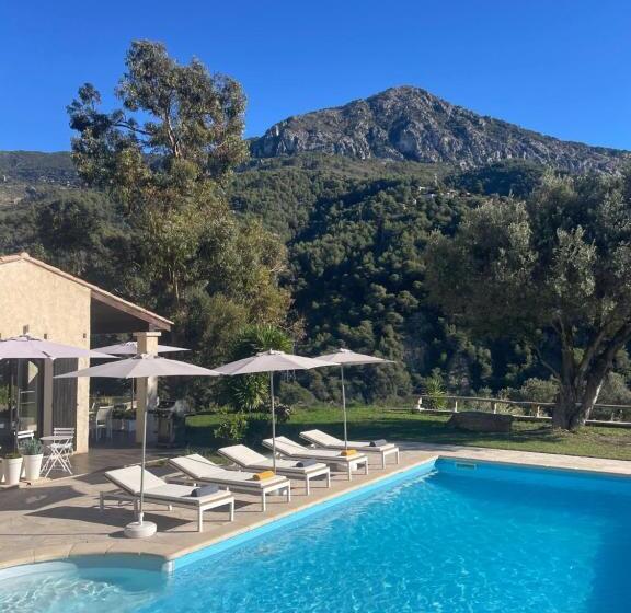 Bed & Breakfast At Villa Monti