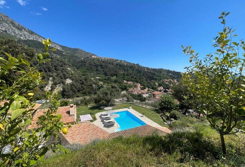 Bed & Breakfast At Villa Monti