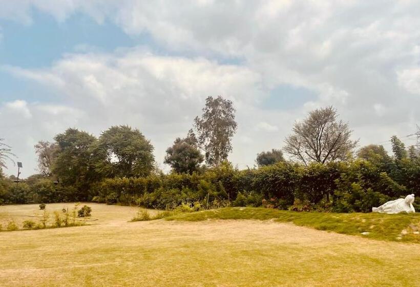 فندق Bodhi Retreat