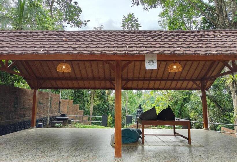 בית מלון כפרי Byron Jungle Resort