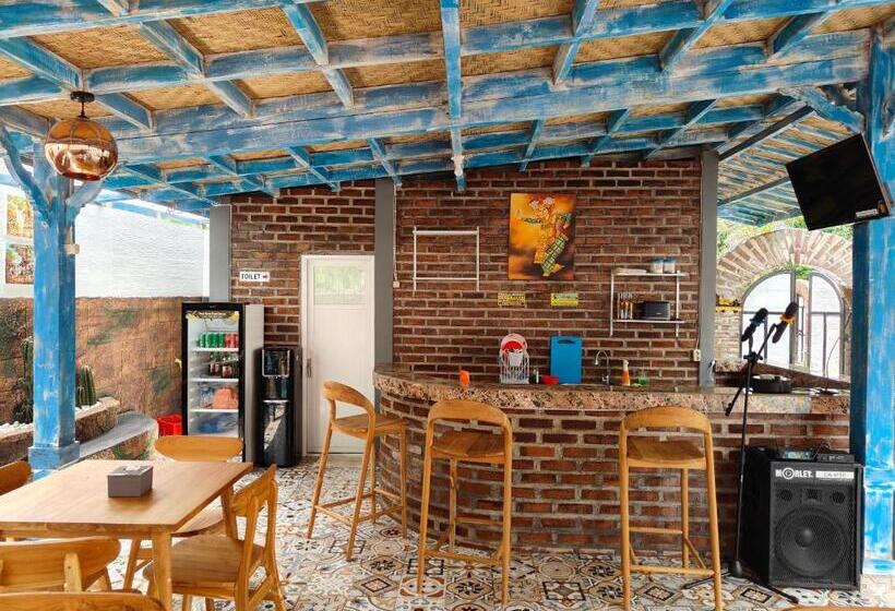 בית מלון כפרי Byron Jungle Resort