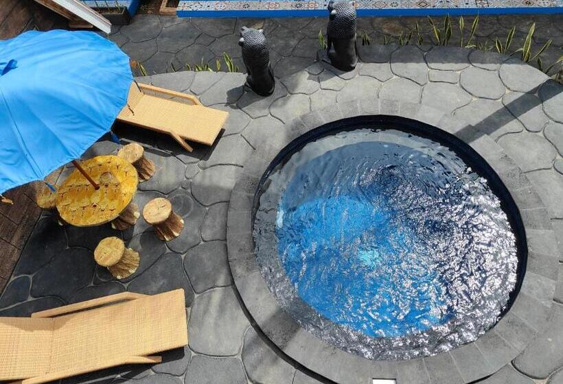 בית מלון כפרי Byron Jungle Resort