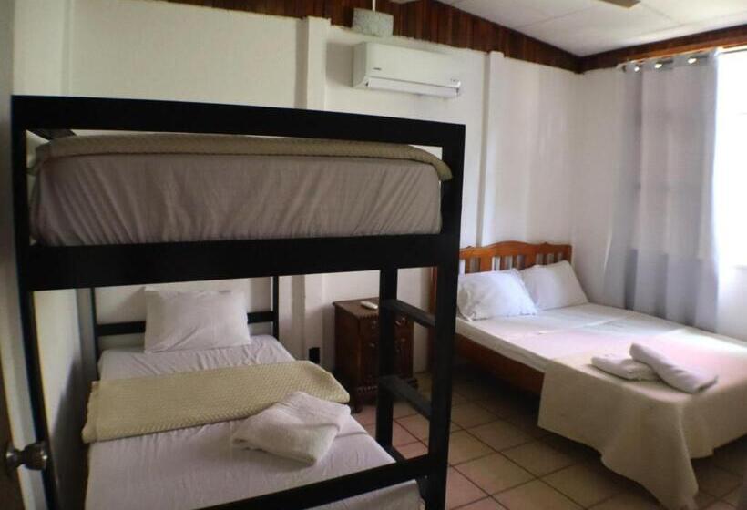 호텔 Coconut Beach House