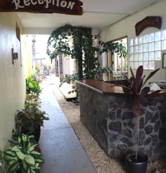 호텔 Coconut Beach House