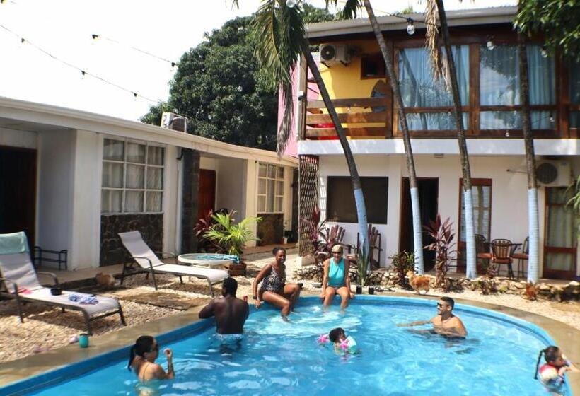 호텔 Coconut Beach House