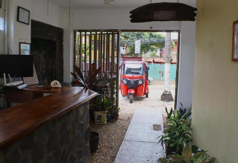 호텔 Coconut Beach House