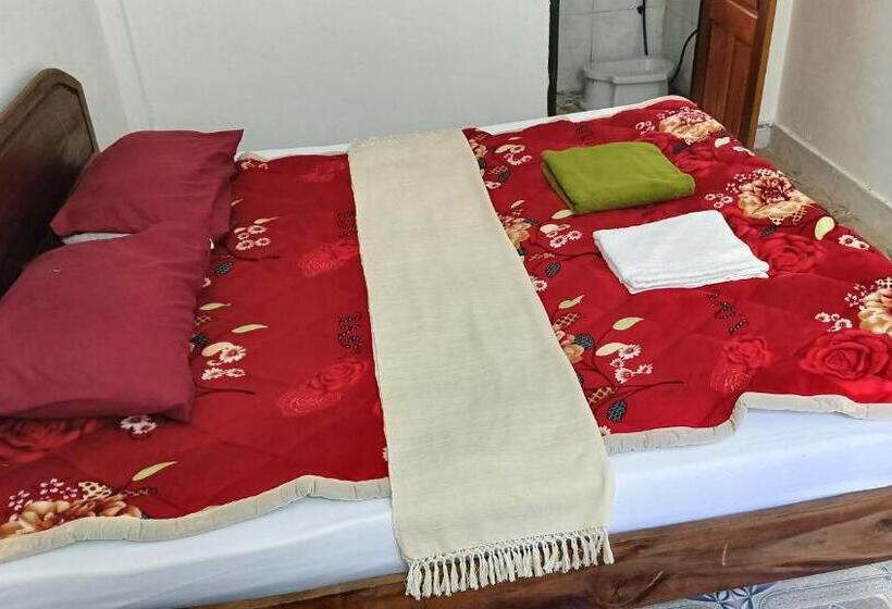 酒店 Cool Pool Bungalow