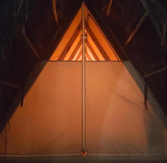 Капсульный Oтель Asana Glamping