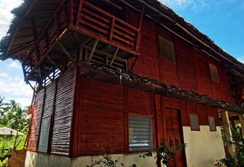 Szálloda Dreamer Resort