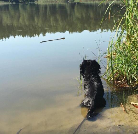 호텔 Ferienhof Altglobsow/ Cafe Seeblick