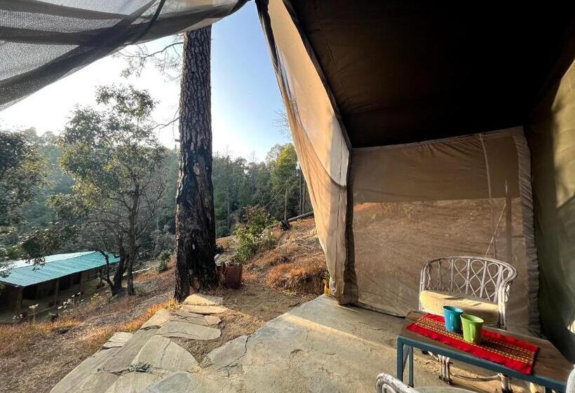 فندق Glampinn Woods