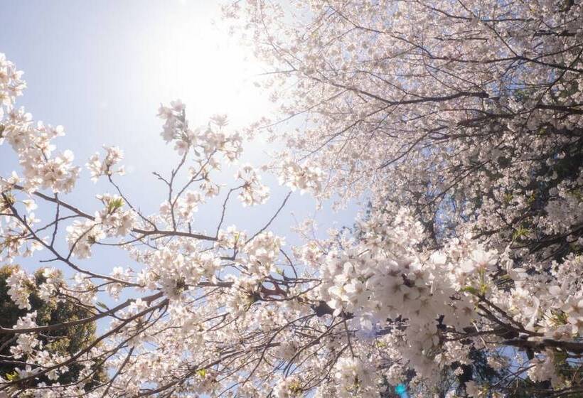 בית מלון כפרי Higashi Kumamoto Business Center