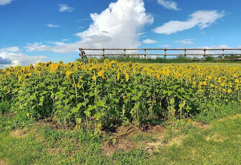 בית מלון כפרי Higashi Kumamoto Business Center