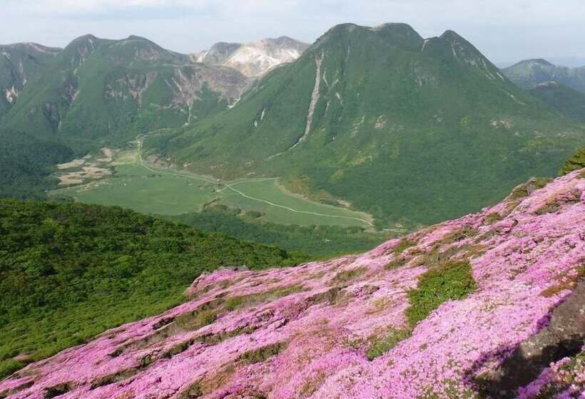 בית מלון כפרי Higashi Kumamoto Business Center