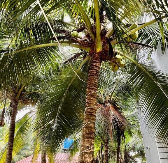 فندق Indu Chhaya