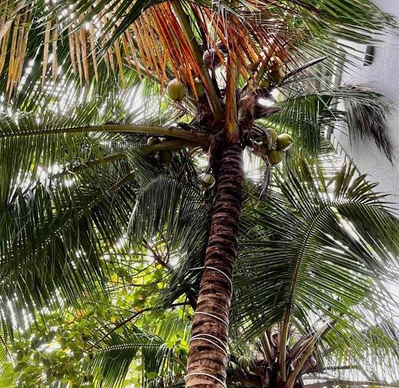 فندق Indu Chhaya