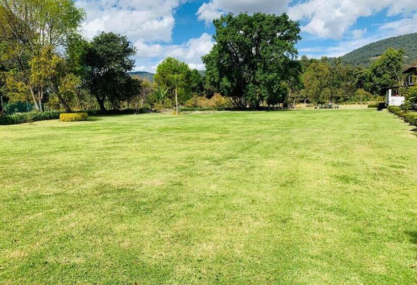 בית מלון כפרי Jardín El Tlapeue