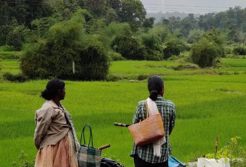 호텔 Wayanad Kuruva Isles Jungle Resort