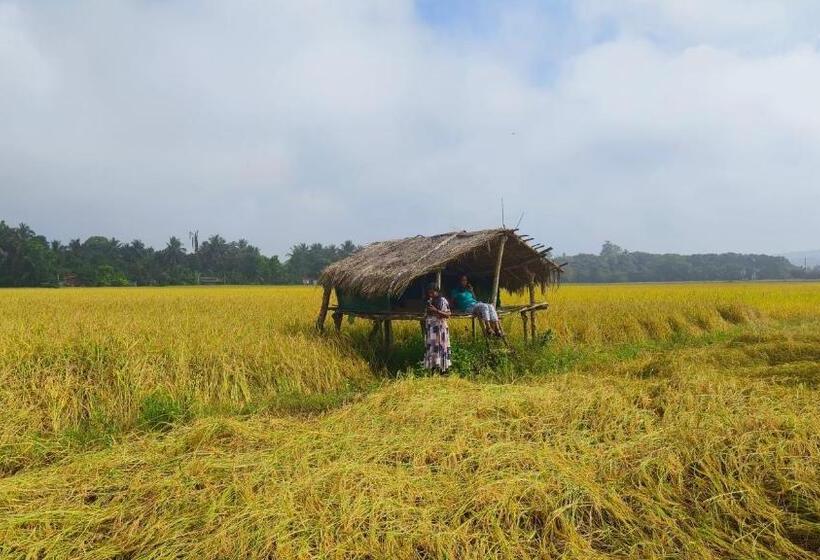 호텔 Wayanad Kuruva Isles Jungle Resort