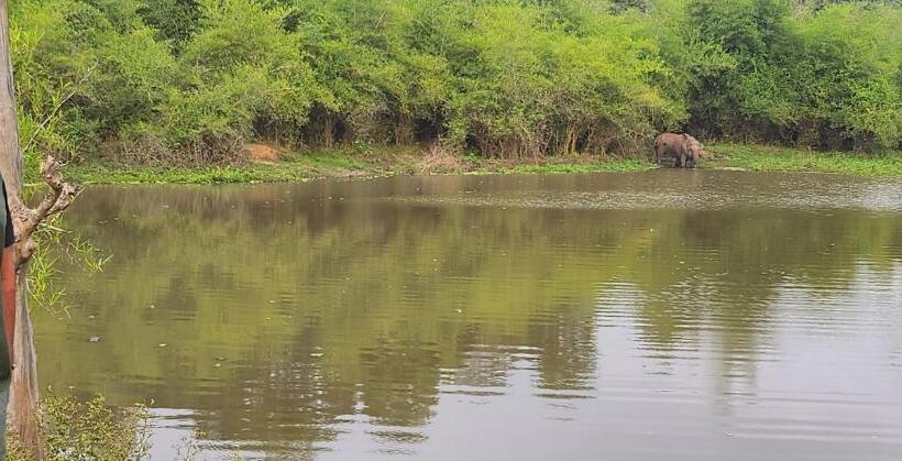 호텔 Wayanad Kuruva Isles Jungle Resort